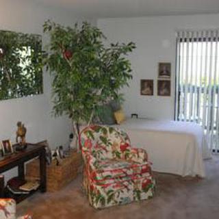 A cozy living room with a floral armchair, large indoor plant, and artwork on the walls.