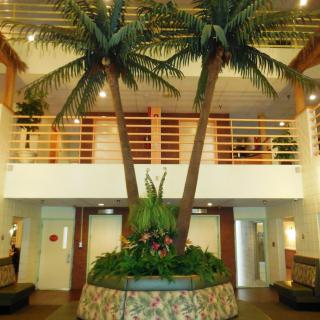 A modern lobby featuring indoor palm trees and stylish decor.