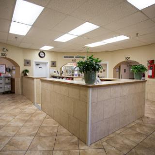 A welcoming reception area with natural light, tiled floors, and greenery.