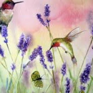 A watercolor painting of hummingbirds and a butterfly among lavender flowers.