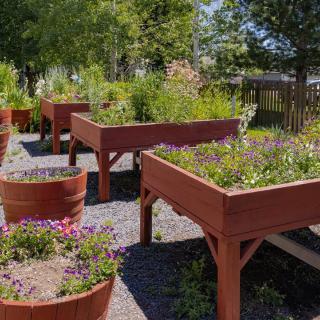 A beautiful backyard featuring raised garden beds filled with various plants and flowers.