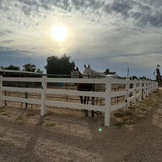 A rural scene featuring a fenced area under a cloudy sky at sunset.