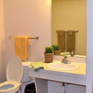 A neat bathroom featuring a sink with a mirror, toilet, towels, and small potted plants for decoration.