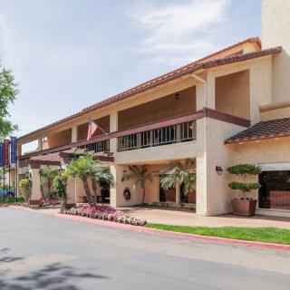 A sunny day view of a hotel building with palm trees and a driveway.