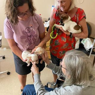 Heartland Living & Rehab At The Moses H Cone Mem H
