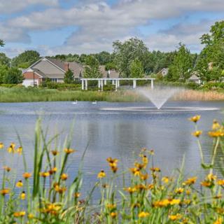 A serene landscape featuring a pond with a fountain, surrounded by houses and vibrant flowers.