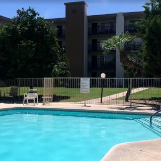 A clear day at an apartment complex pool surrounded by trees and a fence.