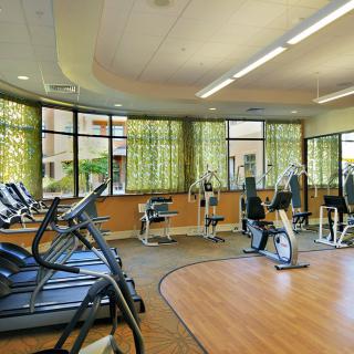 A spacious gym with various exercise machines and large windows providing natural light.