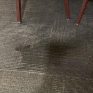 A stained carpet with visible chair legs nearby.