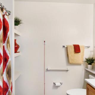 A tidy bathroom with a colorful shower curtain, neatly arranged towels, and decorative plants on shelves.