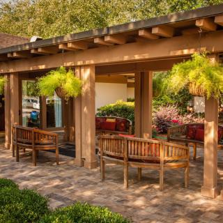 A serene outdoor seating area with wooden benches and hanging plants under a pergola.