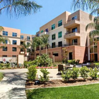 A modern apartment building surrounded by lush landscaping and palm trees on a sunny day.