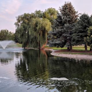 A serene view of a pond surrounded by lush trees, featuring a gentle fountain and tranquil reflections.