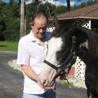 A man joyfully interacting with a horse in a sunny outdoor setting.