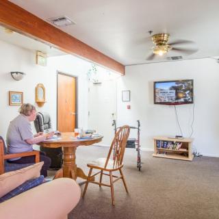 A person seated at a table in a cozy living room with a TV and ceiling fan.