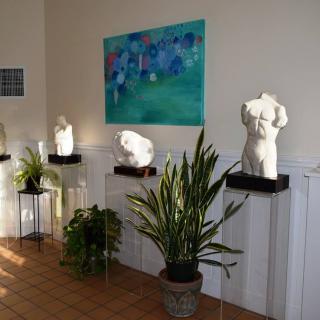 Art gallery display featuring classical busts and indoor plants.