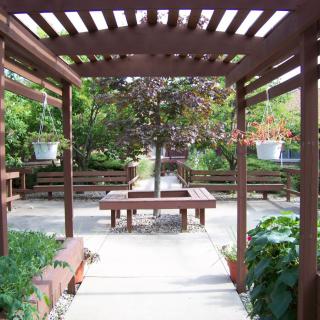 A serene outdoor garden area with a wooden pergola, benches, and lush greenery.