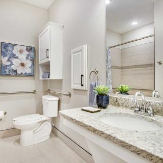 A modern bathroom featuring a sleek countertop, mirror, and decorative elements.