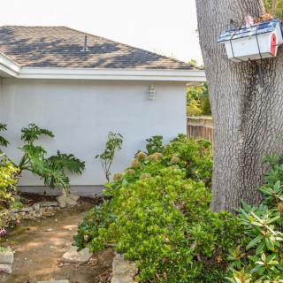 A tranquil garden pathway next to a house, surrounded by lush greenery and anchored by a large tree.