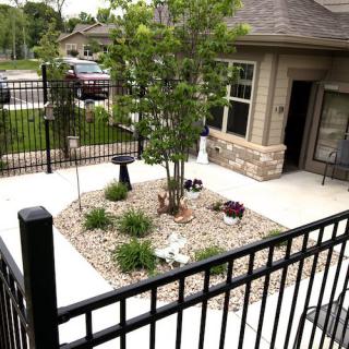 A small residential courtyard with a tree and shrubs, surrounded by a metal fence.