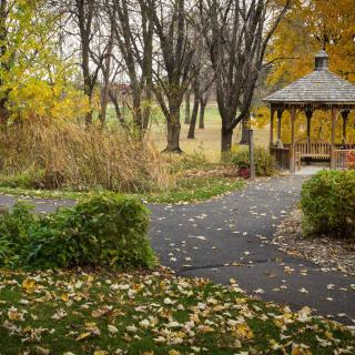A peaceful autumn scene with a gazebo and a leaf-covered pathway in a park.