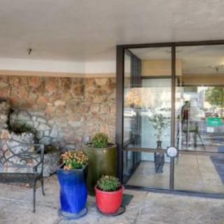 A modern entrance featuring glass doors and colorful potted plants with cacti.
