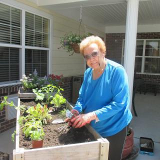 An elderly person tending to plants in a raised garden bed outside.