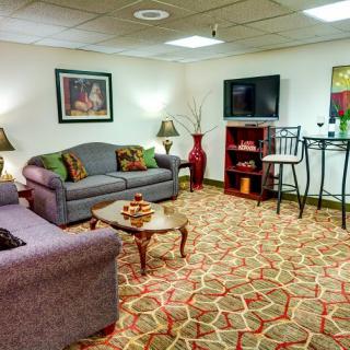 A cozy living room with comfortable seating and elegant decor.