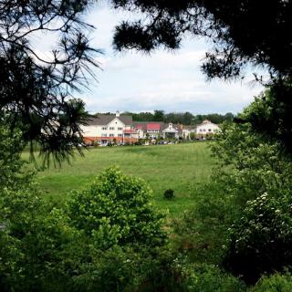 A scenic view of houses surrounded by lush greenery and trees.