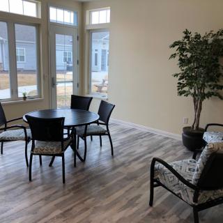 A modern living room with a round table, four chairs, and a large potted plant by the windows.
