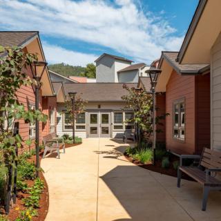 A modern residential courtyard featuring a pathway lined with benches and landscaping.