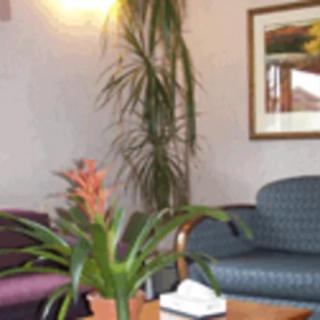 A cozy waiting room with a plant and artwork on the wall.
