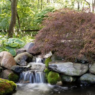 A peaceful garden scene with a small waterfall cascading over rocks, surrounded by lush foliage.