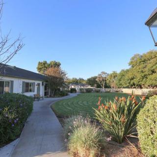 A serene outdoor pathway lined with greenery and buildings under a clear blue sky.