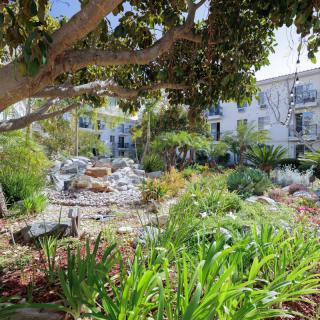 A lush garden with various plants and a central rock feature, basking in sunlight.