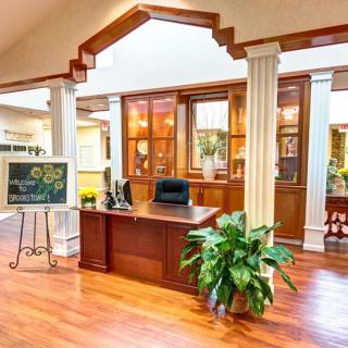 A welcoming office reception area with a desk, plant, and wooden flooring.