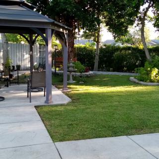 A peaceful garden with a gazebo and well-maintained lawn.