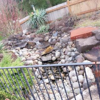 A beautifully landscaped rock garden featuring a natural water feature.