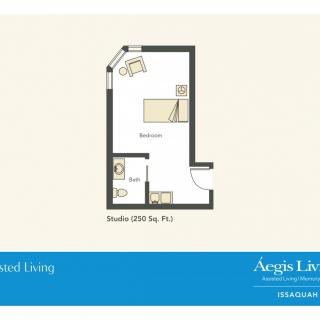 A floor plan showing the layout of a studio apartment with designated living and bathroom areas.