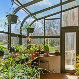 A sunlit greenhouse filled with a variety of potted and hanging plants.