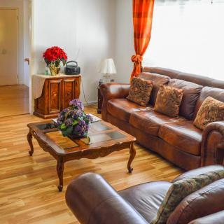 A cozy living room with a leather sofa and wooden coffee table, adorned with decorative plants and curtains.