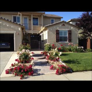 Miralex Elderly Care Home