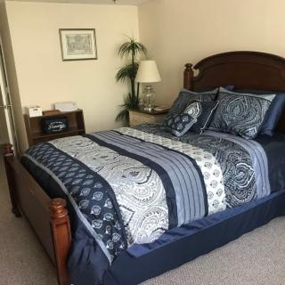 A neatly arranged bedroom featuring a bed with patterned blue bedding, a wooden headboard, a nightstand with a lamp, and a potted plant.