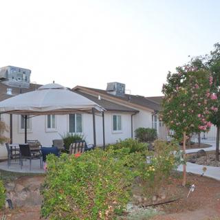 A backyard with a patio and garden featuring a gazebo surrounded by trees.