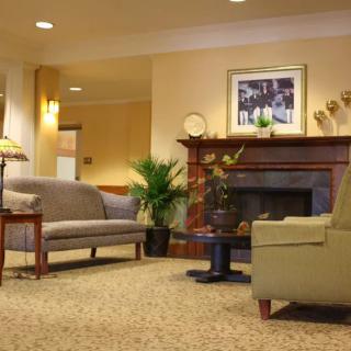 A cozy living room with sofas, a fireplace, and decorative plants.