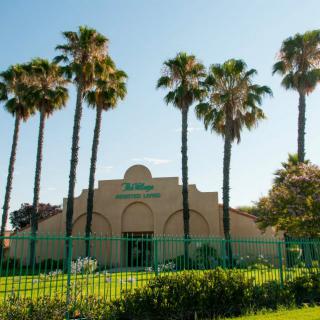 A picturesque view of a building surrounded by tall palm trees on a sunny day.