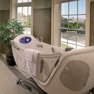 A luxurious bathtub in a well-lit bathroom with large windows and an indoor plant.
