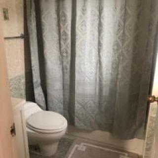 A bathroom with a toilet and a shower curtain in front of the bathtub, featuring a decorative rug on the floor.