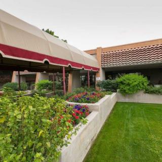 An outdoor garden area with a canopy and adjacent building, showcasing lush greenery.