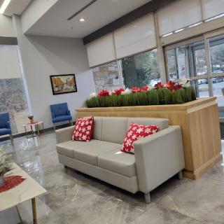 A modern lobby featuring a comfortable sofa and vibrant plant decor.